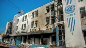 HAMAS celebra fallo de CIJ: Confirma que Israel comete genocidio en Gaza