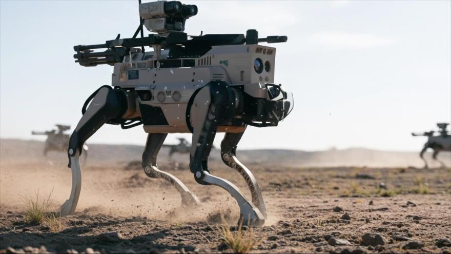 Perros robóticos de China.