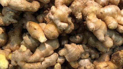 Jengibre, secreto natural para una digestión saludable y más vitalidad