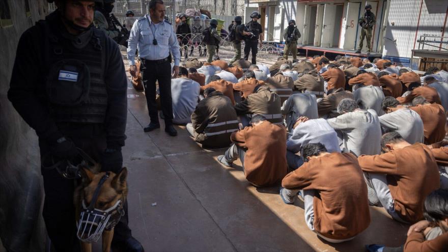 Prisioneros palestinos se agachan en el suelo en el patio de una prisión en el sur de Israel, 14 de febrero de 2024.