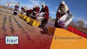 Descubre Irán: Qaenat, en Jorasán del Sur, la cuna mundial del “oro rojo”