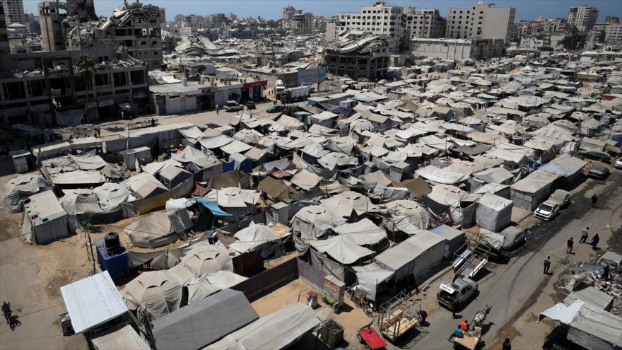 Vista de tiendas de campaña que albergan a palestinos desplazados por la ofensiva israelí en Gaza, 23 de agosto de 2025. (Foto: Reuters)