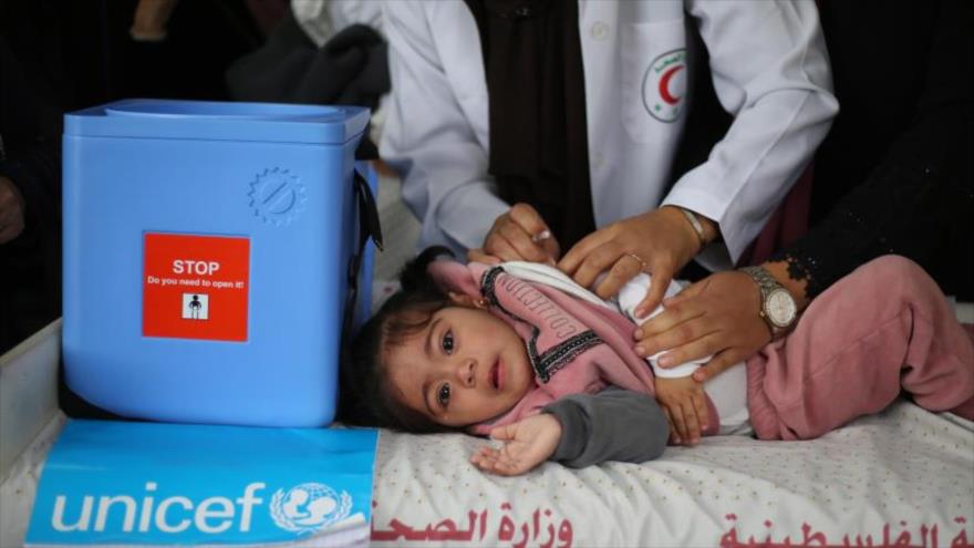 Un niño recibe la vacuna contra la poliomielitis en Gaza.