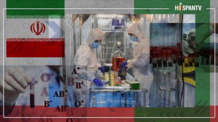 Irán, líder global en almacenamiento de sangre de cordón umbilical y medicina regenerativa