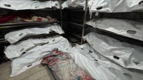 Israel asesina a 23 palestinos en nuevos ataques a Gaza