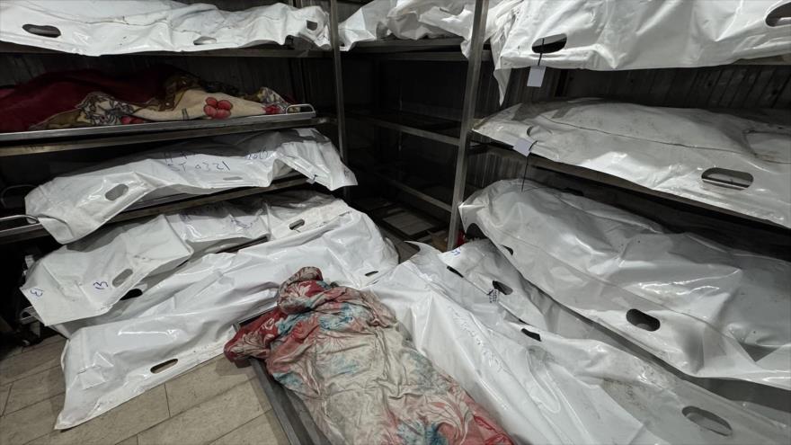 Palestinos muertos en un ataque israelí contra el distrito de al-Mawasi son trasladados al hospital Nasser en Jan Yunis, 19 de noviembre de 2025. (Foto: Anadolu)