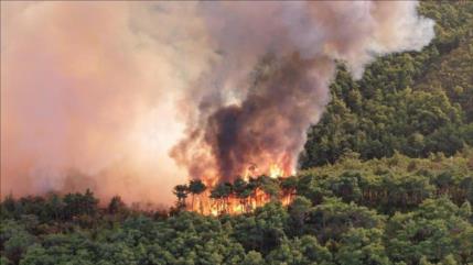 Irán controla incendios en el norte y Turquía envía ayuda
