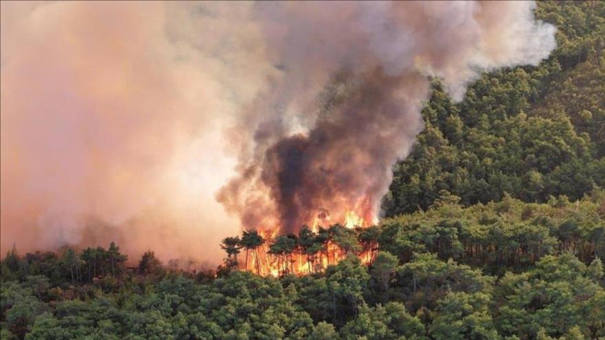 Bosques hircanos de Irán, arden en llamas en la ciudad de Marzanabad, en la provincia norteña de Mazandaran.