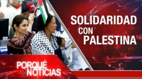 Solidaridad con Palestina| El Porqué de las Noticias