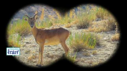 Descubre Irán | Diario de viaje por el desierto - Parte 2