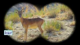 Descubre Irán |Diario de viaje por el desierto - Parte 2