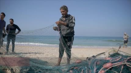 Pescadores de Gaza, blanco de ataques pese a tregua humanitaria