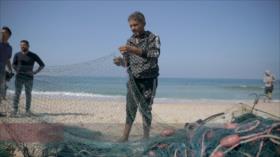 Pescadores de Gaza, blanco de ataques pese a tregua humanitaria