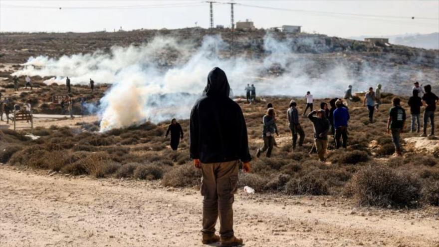 Colonos israelíes en Cisjordania ocupada, 17 de noviembre de 2025. (Foto: Reuters)