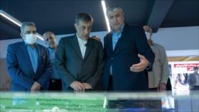 OEAI: Irán sigue liderando ámbito nuclear pese a presión y hostilidad