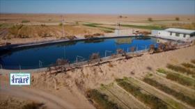 Descubre Irán: Productos orgánicos