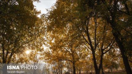 Aleshtar: Un cuadro vivo del otoño en el corazón de Zagros