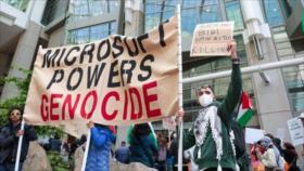 Denuncian a Microsoft en Europa por colaborar en espionaje de Israel