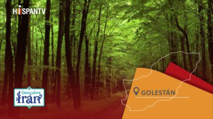 Descubre Irán: bosques hircanos de Golestán, declarados Patrimonio de Humanidad por UNESCO, una joya verde del norte de Irán
