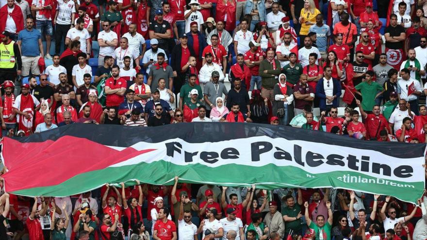 Los aficionados tunecinos despliegan una enorme bandera de Palestina con el lema “Palestina libre” durante el partido de la Copa Mundial de la FIFA entre Túnez y Australia, 26 de noviembre de 2022. (Foto: Reuters)