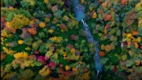 Golestán: el jardín de ensueño de Irán | Irán Hoy