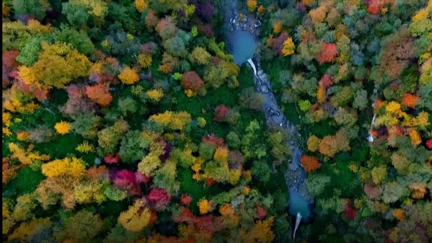 Golestán: el jardín de ensueño de Irán | Irán Hoy