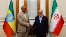 Irán y Etiopía apuntan a fortalecer lazos políticos y económicos