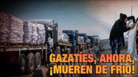 Los gazatíes están muriendo de frío al tiempo que HAMAS por el bien de Gaza no se desarma | Detrás de la Razón