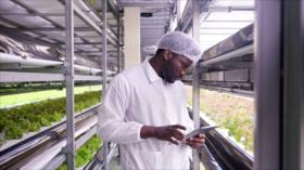 Nano Irán: de la ciencia al impacto | Irán Hoy