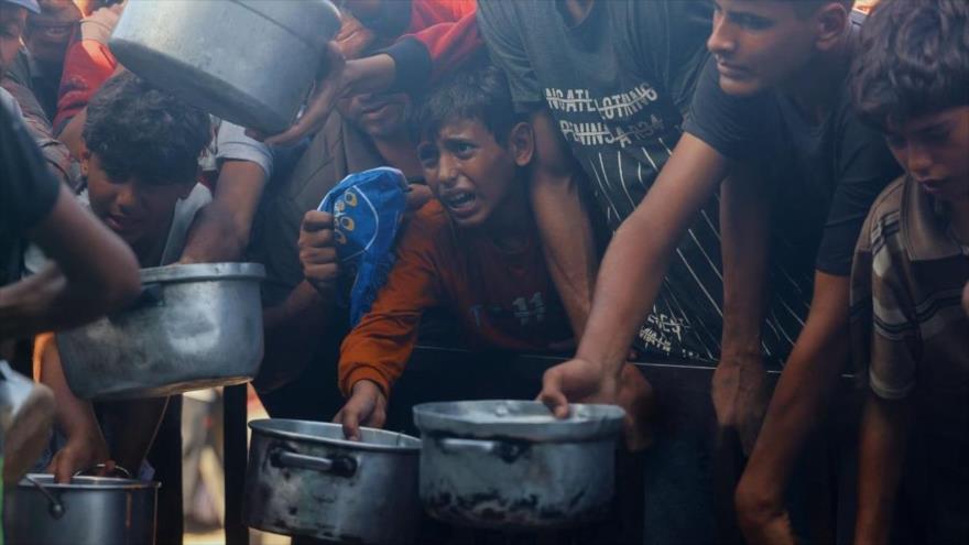 OMS alerta que avances contra hambruna en Gaza siguen frágiles