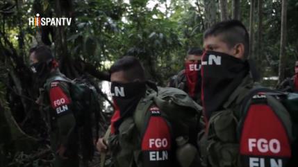 Varios grupos armados anuncian tregua de fin de año en Colombia