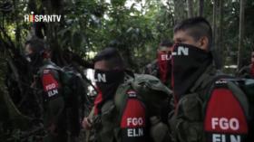 Varios grupos armados anuncian tregua de fin de año en Colombia