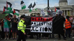 ONU: Londres debe proteger la vida de propalestinos en huelga de hambre