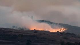 La guerra de El Líbano, vida cotidiana P6