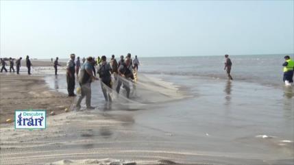 “Perla Blanca”: cultivo de camarón en Golestán | Descubre Irán