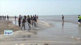 “Perla Blanca”: cultivo de camarón en Golestán | Descubre Irán