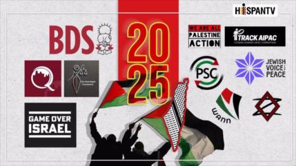 ¿Cómo las campañas propalestinas desafiaron la alianza bélica entre EEUU e Israel en 2025?