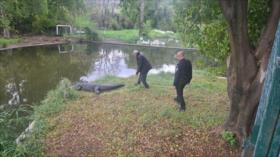 Ben Gvir impulsa plan de “prisión de cocodrilos” para presos palestinos