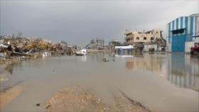 Países árabes e islámicos presionan a Israel para levantar veto a 37 ONG