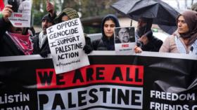 Huelguista propalestina arrestada en R.Unido al borde de colapso orgánico