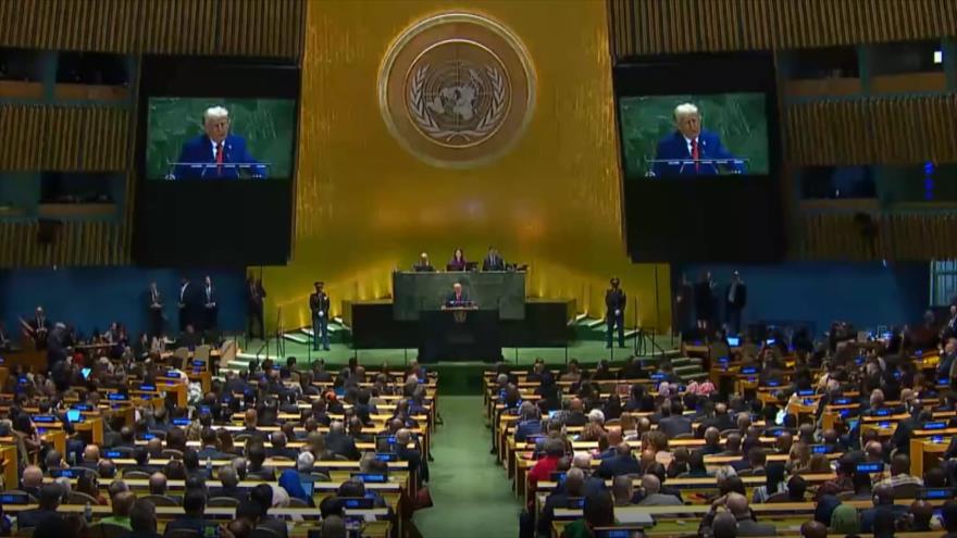 “Ellos nunca plantaron sésamo en Palestina”: la apropiación cultural versus la resistencia y el rol del arte en la conciencia de la humanidad | Ventana a Palestina