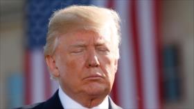 Alba Movimientos convoca movilización internacional contra Trump