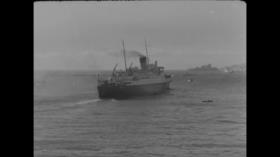 Sombras venenosas - Episodio 2