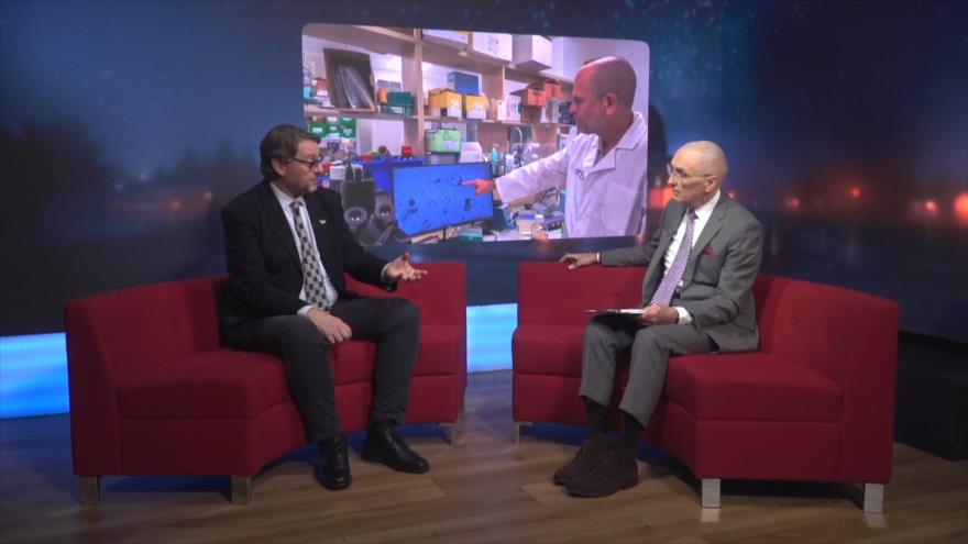 Banco de órganos de guerra: Cómo el régimen sionista convierte a los mártires palestinos en mercancía| Palestine Declassified