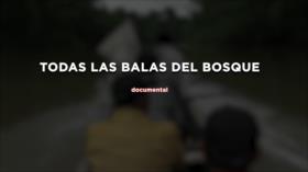 Todas las balas del bosque