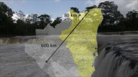 Todas las balas del bosque - P1