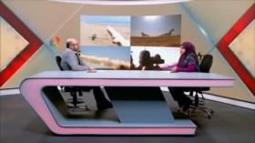 Europa está jugando con fuego: ¡la designación del Cuerpo de Guardianes de Irán podría incendiar la región! | Dice Israel