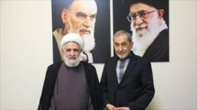 Velayati: Irán está listo para enfrentar cualquier amenaza externa