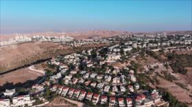 HAMAS denuncia la expansión de los asentamientos en Cisjordania 