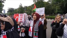 Cientos de indonesios marchan en apoyo a Palestina